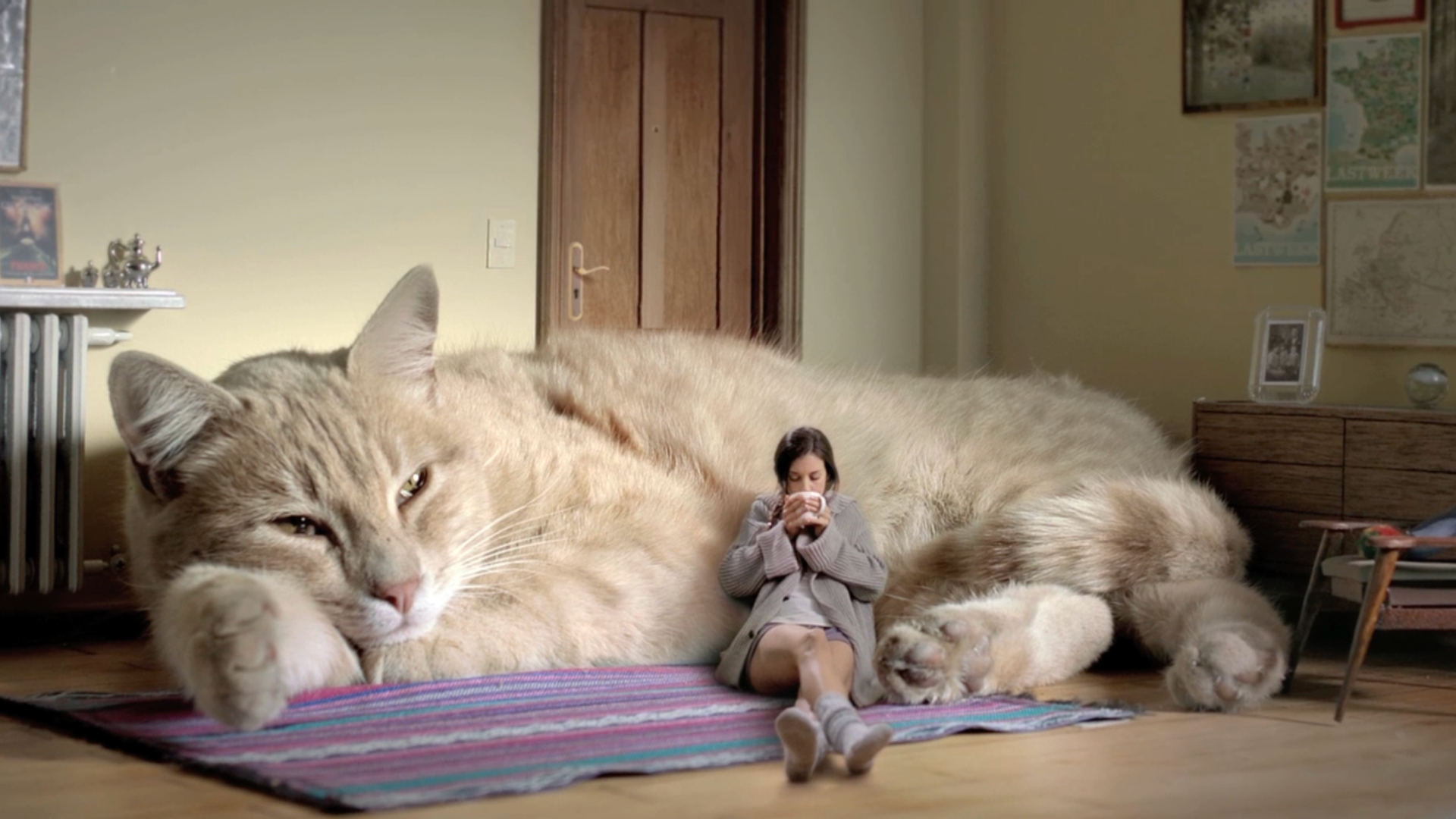 Le Gató 1