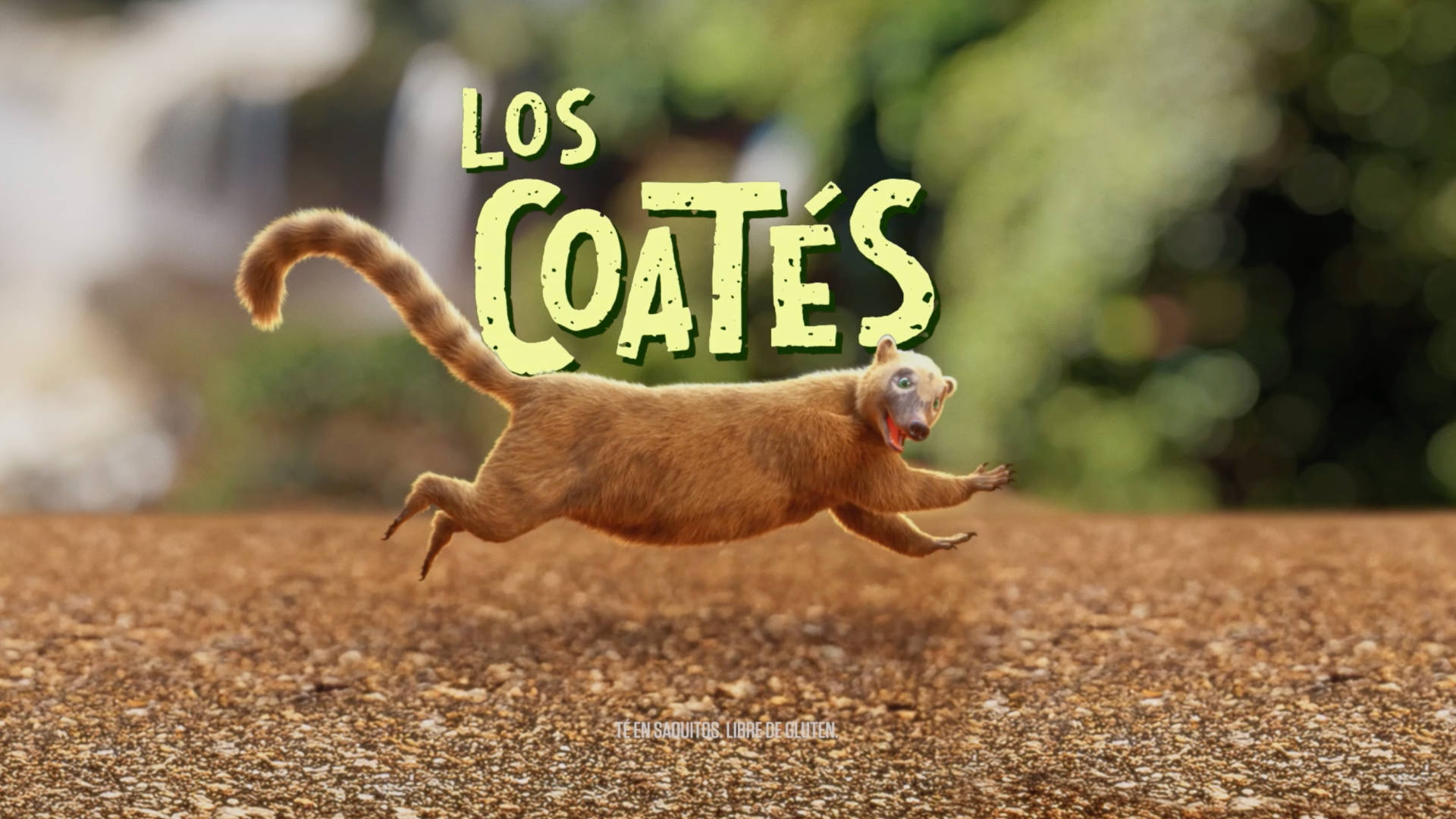 Entradas