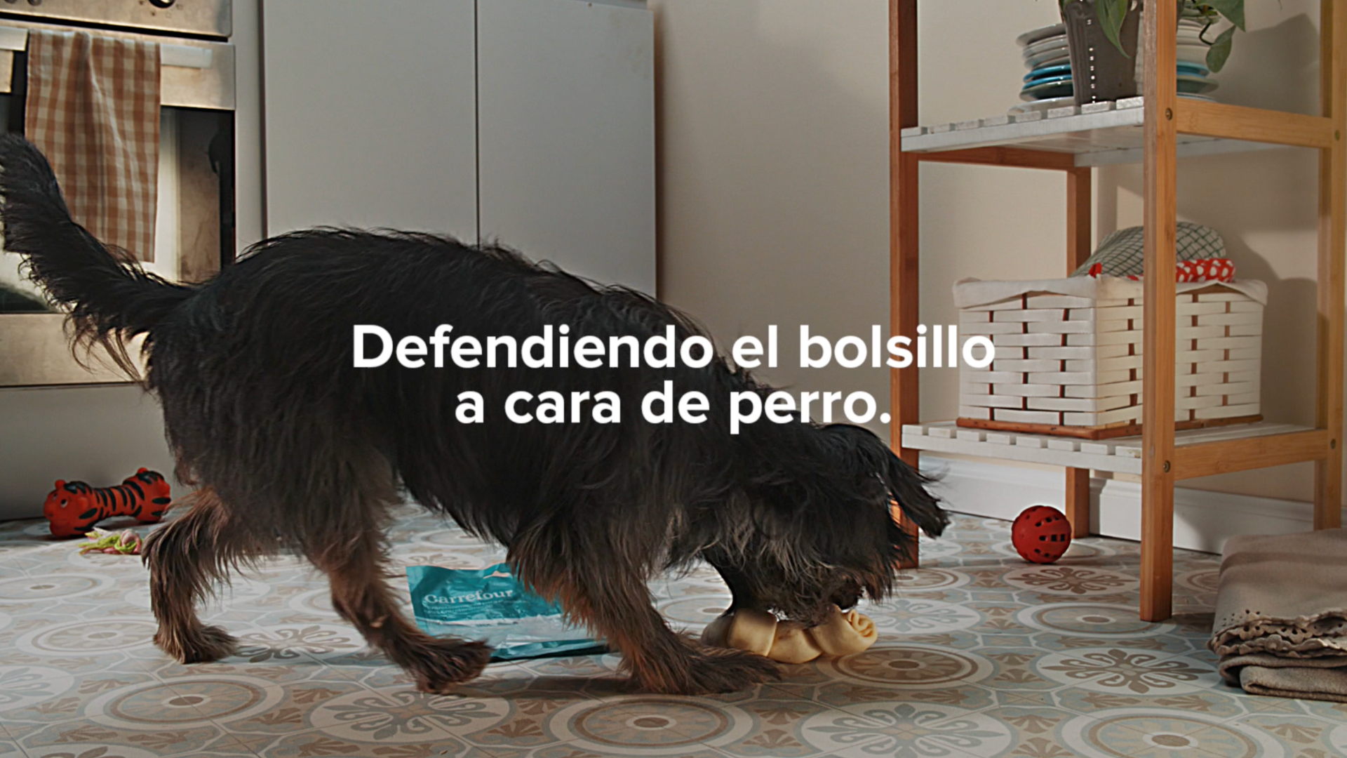 Perro