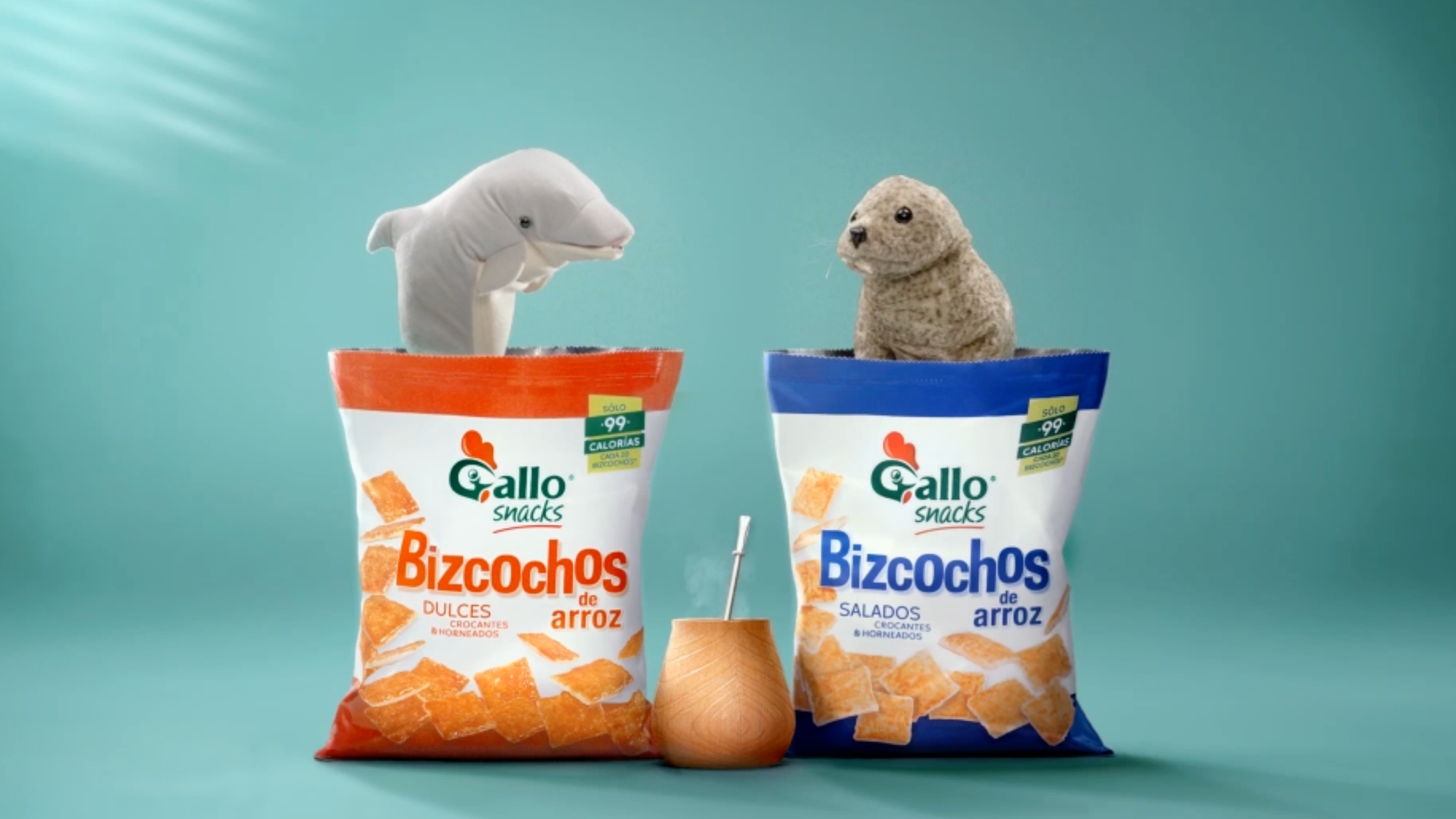 Dolphin and Seal