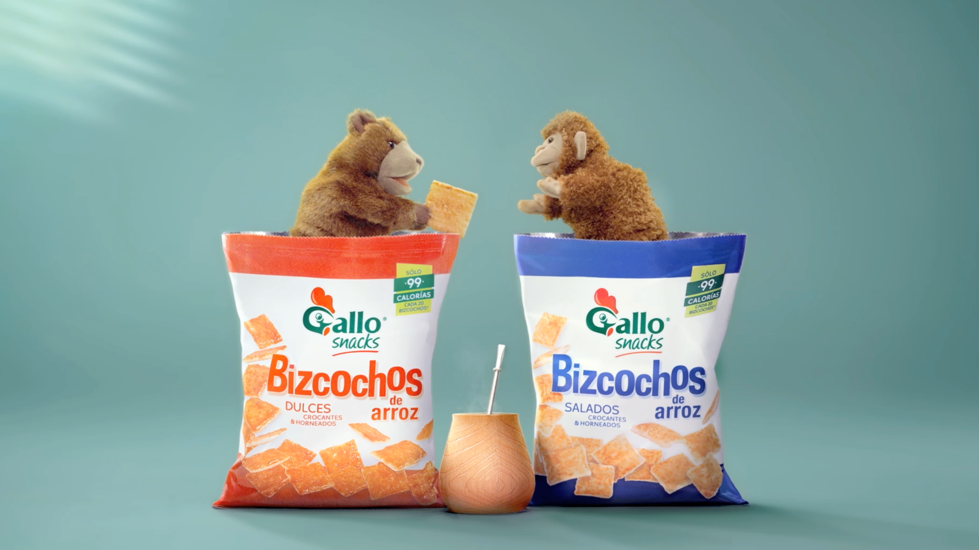 Bear and Monkey
